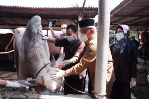 Wali Kota Depok Mengimbau Pemotongan Hewan Kurban Hanya Dilakukan Oleh Panitia