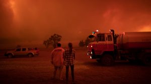 Kebakaran Hutan Bakal Makin Sulit Ditangani Akibat Perubahan Iklim dan Pandemi