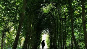 Buruh Migran Indonesia Nekat Pulang Jalan Kaki dari Malaysia Tembus Hutan Karena Ditipu Buruh Migran Indonesia Nekat Pulang Jalan Kaki dari Malaysia Tembus Hutan Karena Ditipu