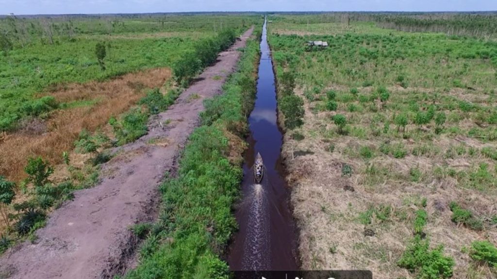 Antisipasi Krisis, Jokowi Bakal Perluas Pembangunan Lumbung Pangan Antisipasi Krisis, Jokowi Bakal Perluas Pembangunan Lumbung Pangan