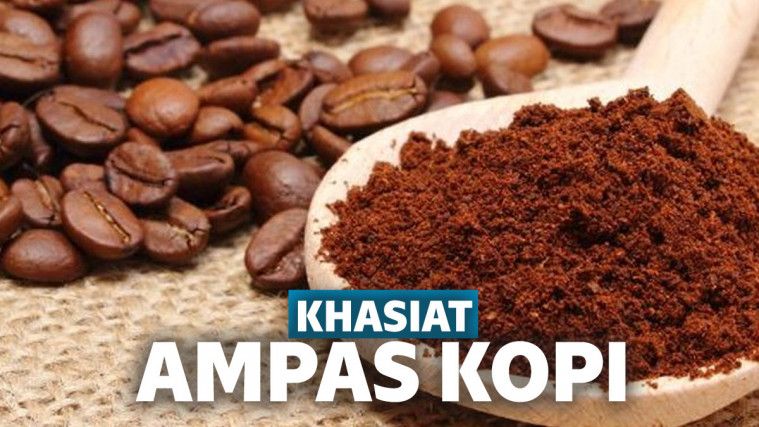 Manfaat Ampas Kopi untuk Kesehatan dan Kecantikan