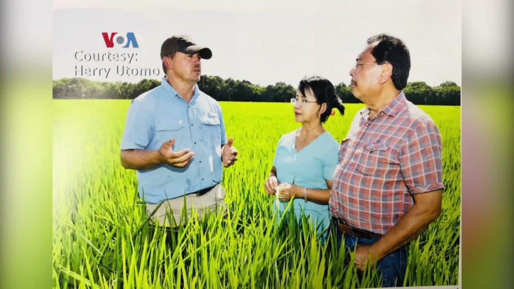 Herry Utomo, Dosen Penemu Varietas Padi di Louisiana State University Herry Utomo, Dosen Penemu Varietas Padi di Louisiana State University