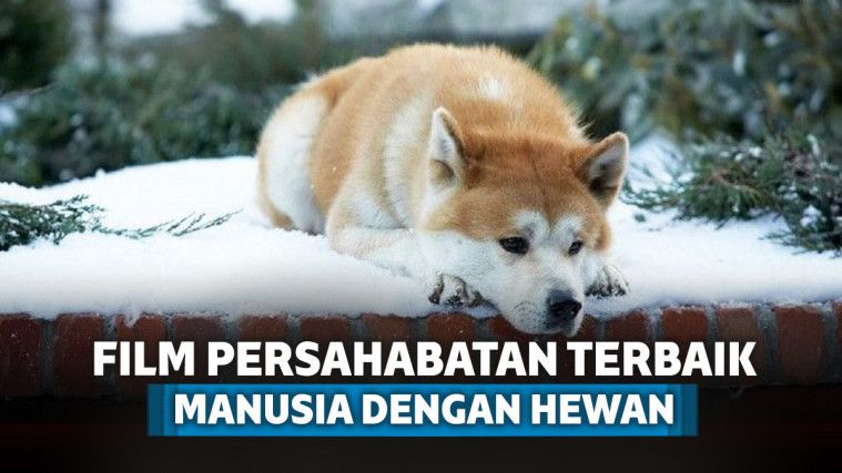 7 Film Persahabatan ini Membuktikan Hubungan Erat Manusia 7 Film Persahabatan ini Membuktikan Hubungan Erat Manusia
