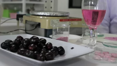 Buah Jamblang sebagai Produk Minuman Kesehatan dan Sumber Pangan Lokal Buah Jamblang sebagai Produk Minuman Kesehatan dan Sumber Pangan Lokal