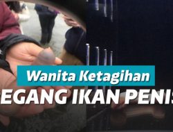 Mengenal ikan penis yang terdampar di pantai California