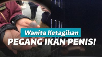 Mengenal ikan penis yang terdampar di pantai California Mengenal ikan penis yang terdampar di pantai California