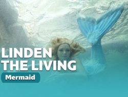 Linden Wolbert Si Mermaid Hidup di Dunia Nyata