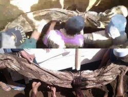 Blitar Heboh, Jasa Kiai Tetap Utuh Selama 31 Tahun!