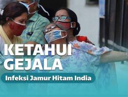Infeksi Jamur Hitam dari India Masuk Indonesia