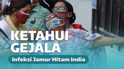 Infeksi Jamur Hitam dari India Masuk Indonesia Infeksi Jamur Hitam dari India Masuk Indonesia