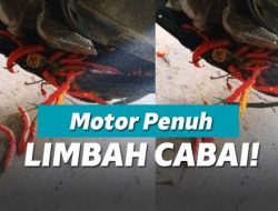 Mobil wanita ini mogok karena cabe. Kok bisa?