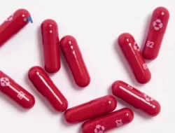 Pil Anti-Covid bukan Pengganti Vaksinasi