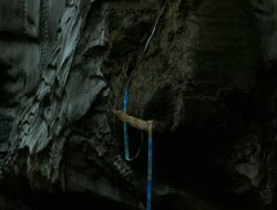 Di Siberia, Sedang Booming Penjualan Gading Mammoth Purba