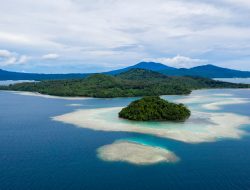 Dua Lelaki Bersyukur Terombang-ambing di Samudra 29 Hari, Merasa Bebas dari Pandemi