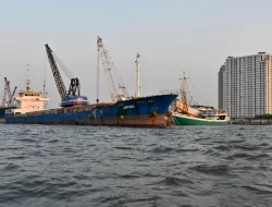Kandungan Parasetamol di Perairan Teluk Jakarta Masih Kecil, Peneliti: Belum Mematikan