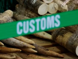 Polisi Hong Kong Bongkar Kasus Penyelundupan Senilai ,9 juta