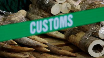 Polisi Hong Kong Bongkar Kasus Penyelundupan Senilai ,9 juta Polisi Hong Kong Bongkar Kasus Penyelundupan Senilai ,9 juta