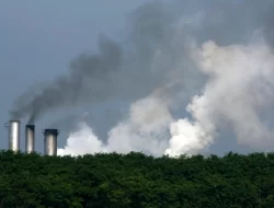 Upaya Mengatasi Perubahan Iklim Global Perlu Dukungan Semua