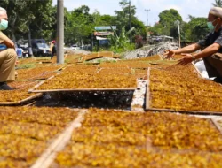 Dinamika Legislasi Paling Rumit di Indonesia