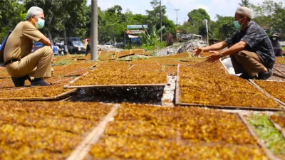 Dinamika Legislasi Paling Rumit di Indonesia Dinamika Legislasi Paling Rumit di Indonesia