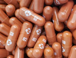 Berpotensi Menjadi Obat COVID-19, Kemenkes Dekati Produsen Obat Molnupiravir