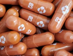 Malaysia Jajaki Beli Obat COVID Merck Malaysia Jajaki Beli Obat COVID Merck