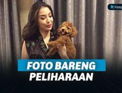 Foto Selebritis Bersama Binatang Kesayangannya