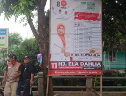 Relawan 11 Kembali Tegakan 47 APK Bergambar Hj, Ela Dahlia, Paska Perusakan APK,