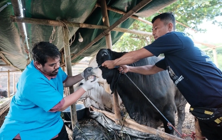 DKP3 Depok Tinjau 296 Lapak Hewan Kurban