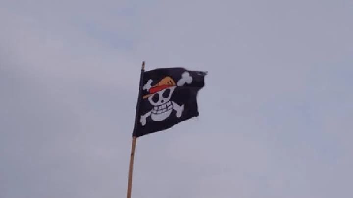 Pemerintah RI Larang Warga Kibarkan Bendera One Piece