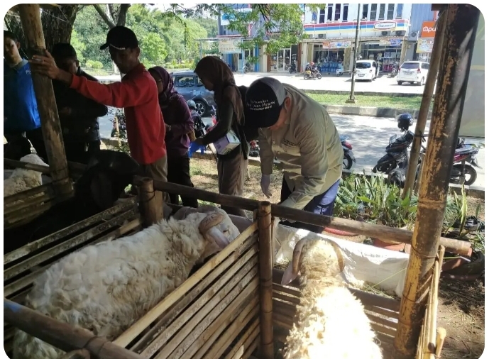 DKPP Jabar Pastikan Hewan Kurban di Depok Sehat dan Aman